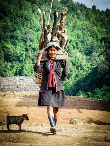 akha woman carrying home fire wood using traditional back pack
